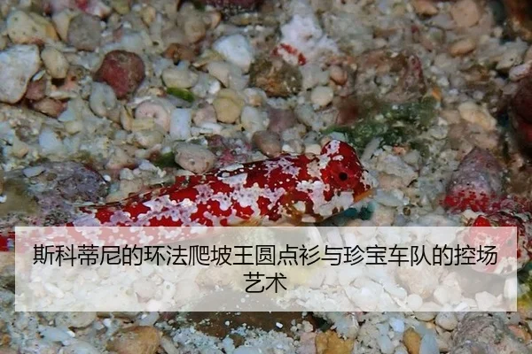 si-ke-di-ni-de-huan-fa-pa-po-wang-yuan-dian-shan-yu-zhen-bao-che-dui-de-kong-chang-yi-shu-2-741.jpg