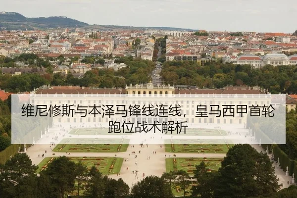 wei-ni-xiu-si-yu-ben-ze-ma-feng-xian-lian-xian-huang-ma-xi-jia-shou-lun-pao-wei-zhan-shu-jie-xi-2-237.jpg
