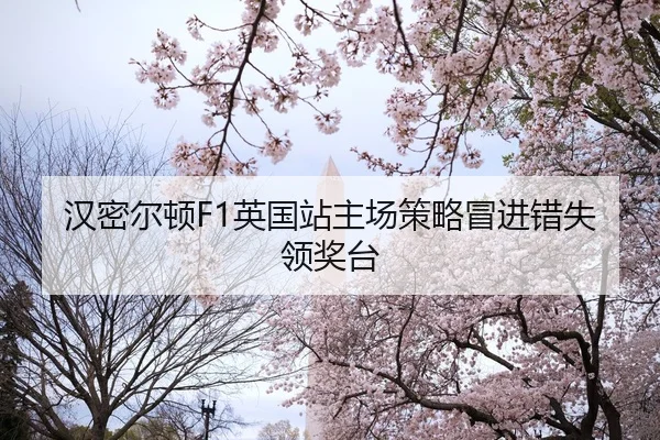 han-mi-er-dun-ying-guo-zhan-zhu-chang-ce-lve-mao-jin-cuo-shi-ling-jiang-tai-2-517.jpg