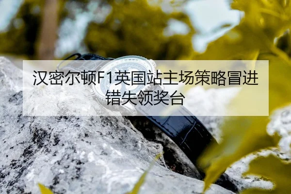 han-mi-er-dun-ying-guo-zhan-zhu-chang-ce-lve-mao-jin-cuo-shi-ling-jiang-tai-3-967.jpg