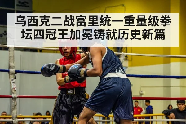 boxer in ring